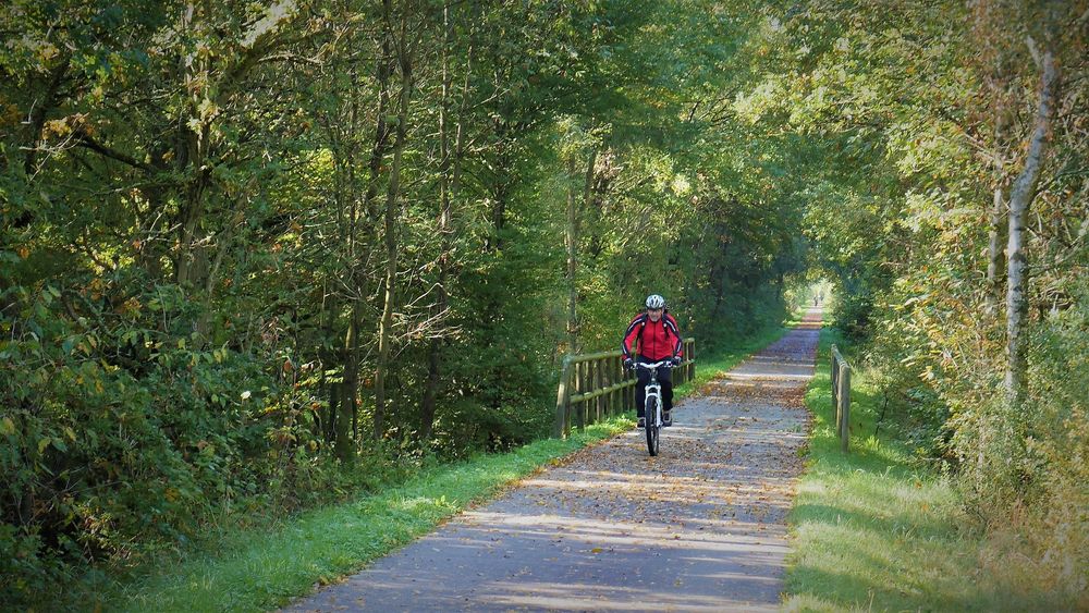 Loreley Radtour Hunsrueck Mittelrhein bzzgq4