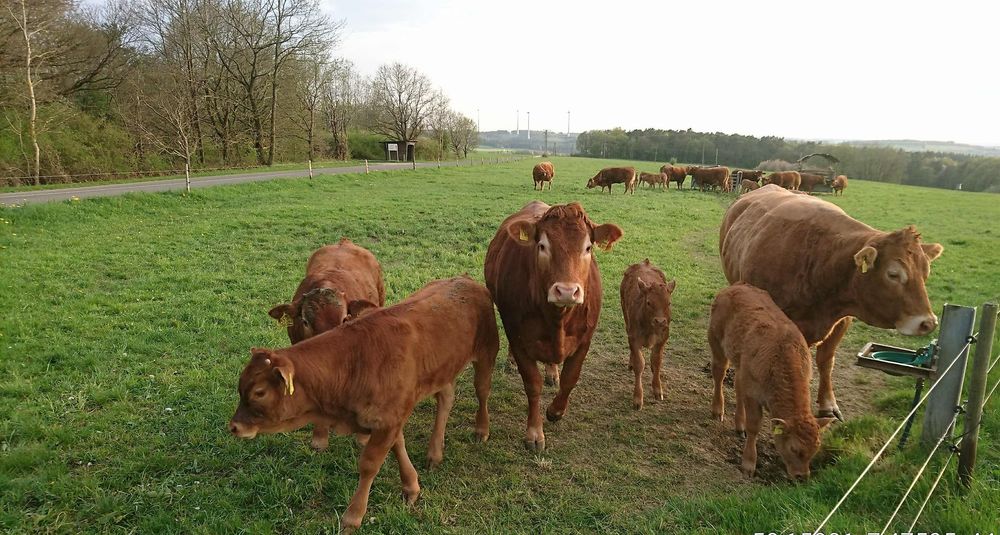 Biotop am Sonnenhof Traumschleife Rabenlay byjdnc