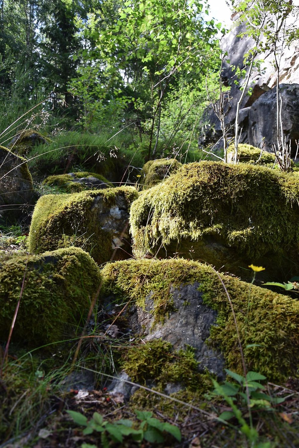 Graue Eltz bygkv7