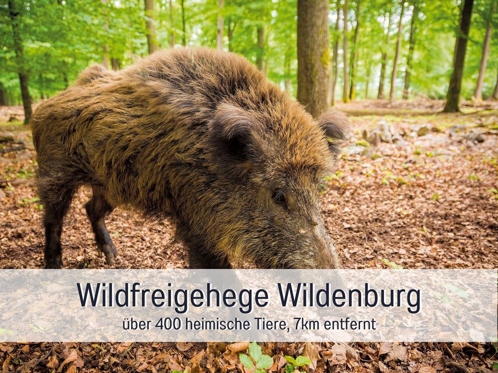Ferienhaus zum Weiher bvtzbc