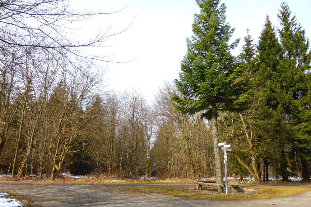 Soonwaldsteig   Zuweg Entenpfuhl 2 bvofda