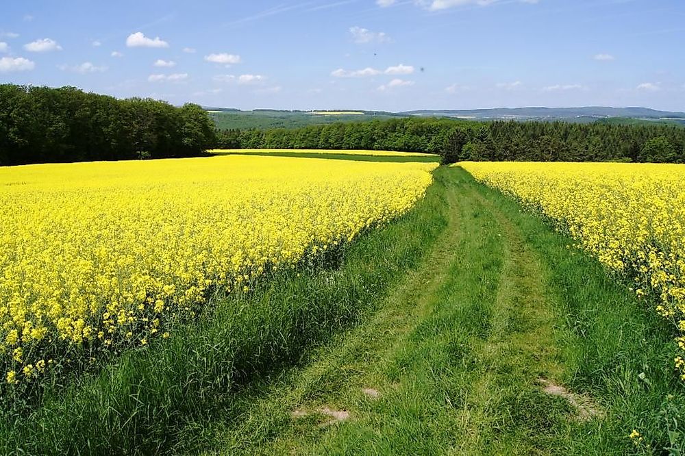 Vitaltour Bärenroute d7p848