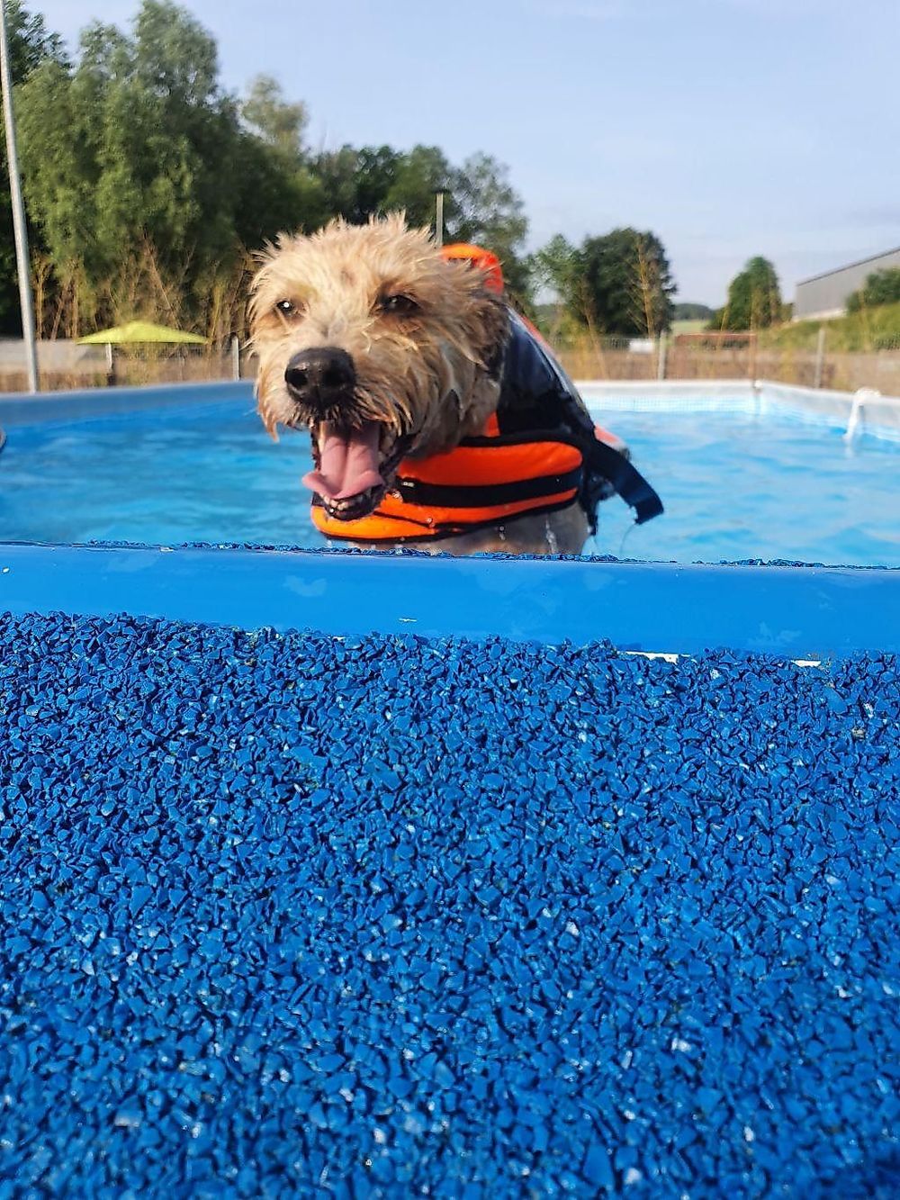 Caniplace   Hundefreizeit und Gesundheitspark btu4zv