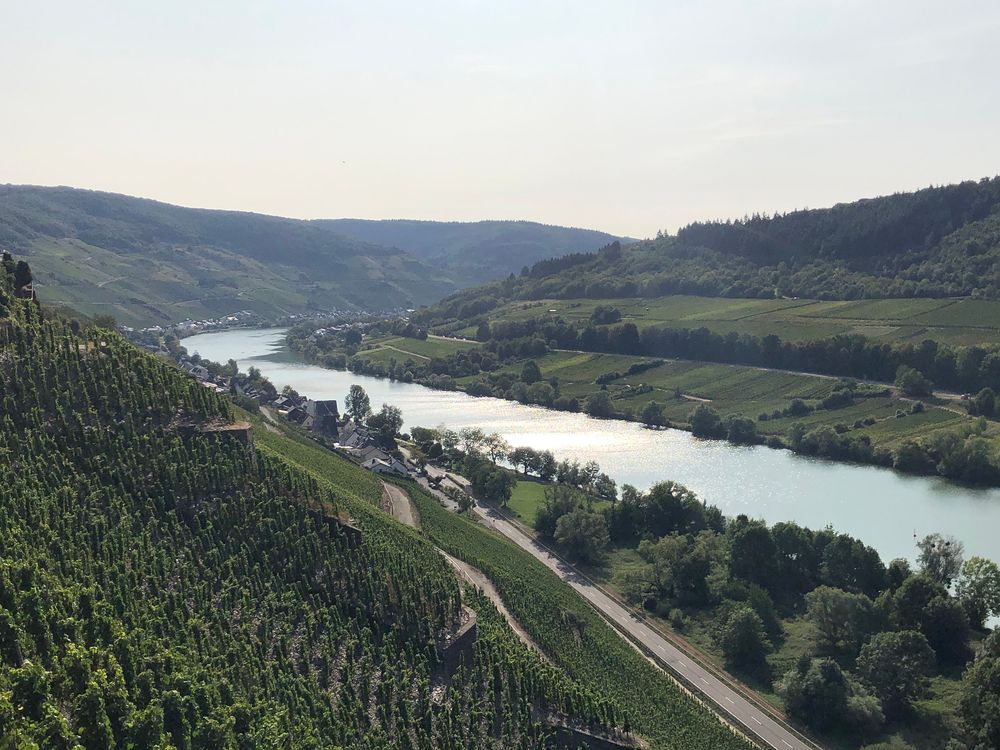 "Pissamann" Weinlehrpfad Zell Merl d2enm0