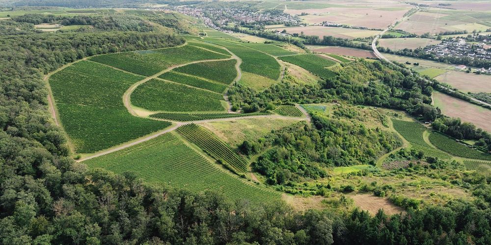 Weingut Marx   Rotes Haus d236cg