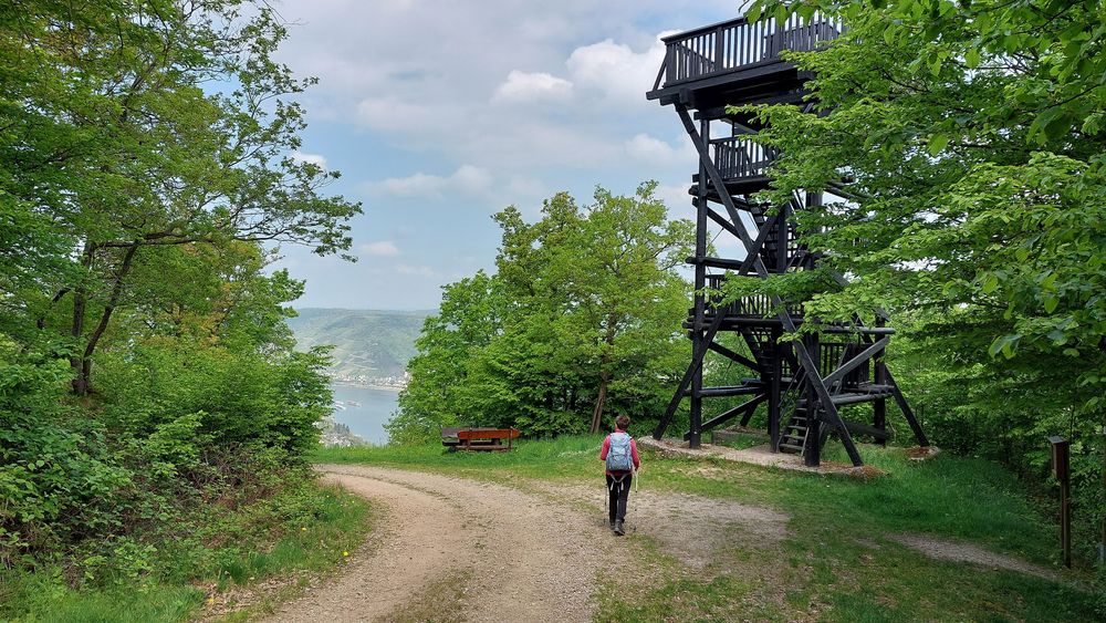Welterbesteig Oberes Mittelrheintal Etappe 2 Trechtingshausen Niederheimbach d17ai3