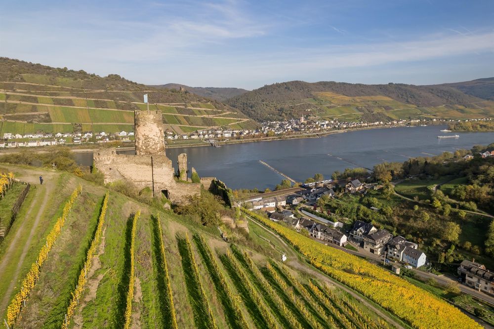 Ruine Fürstenberg bmflvn