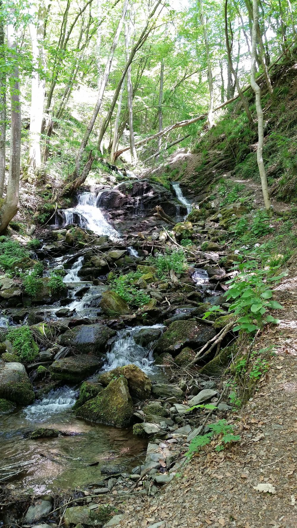 Hölzbachklamm (Dhrontal) blv4vg