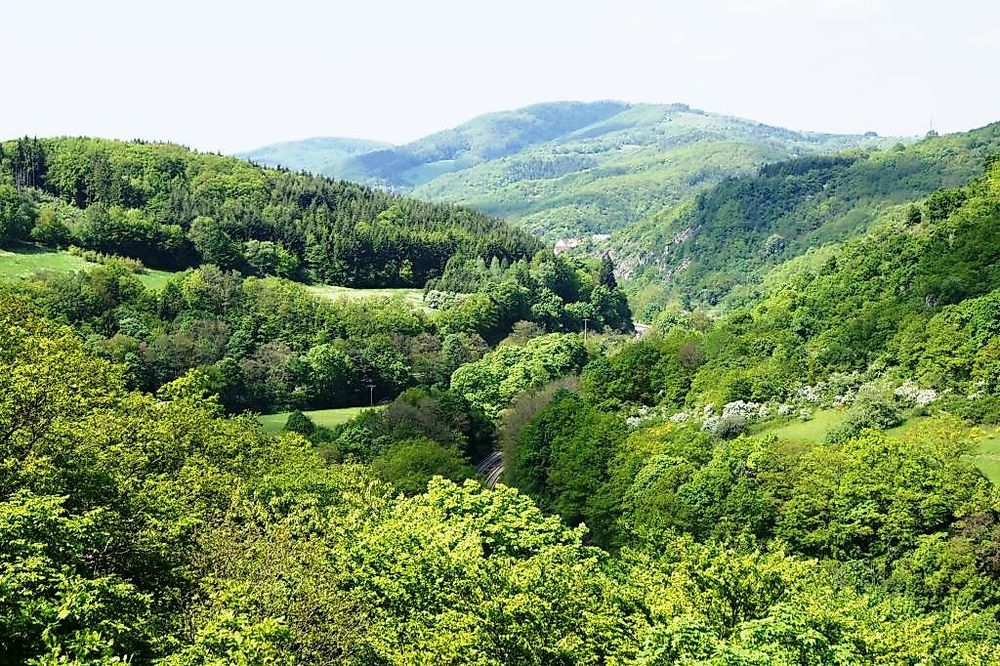 Vitaltour Bärenroute bhs80a