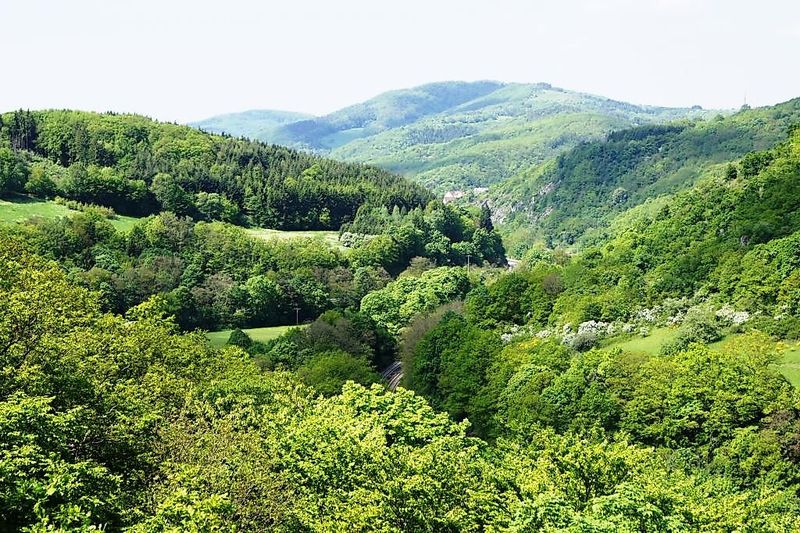 Vitaltour Bärenroute bhs80a