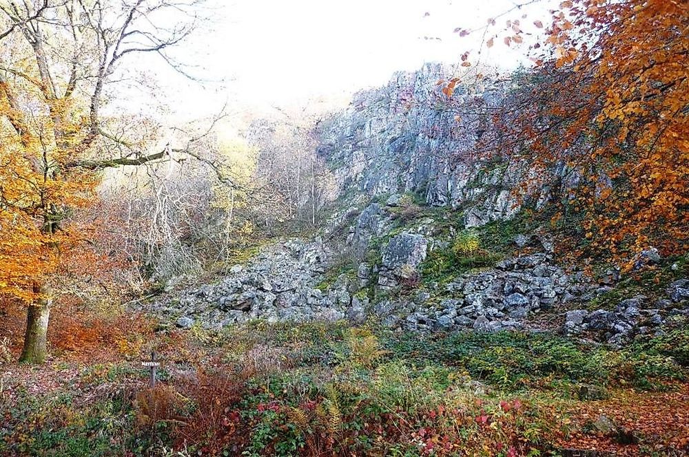 Saar Hunsrück Steig   09
