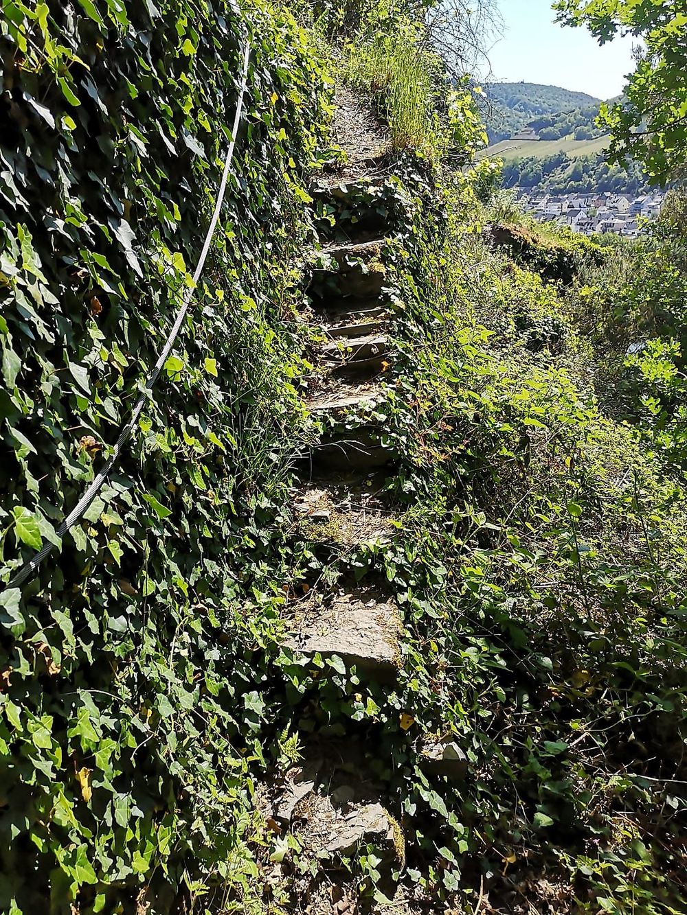 Uhu Steig Briedel bfpcyq