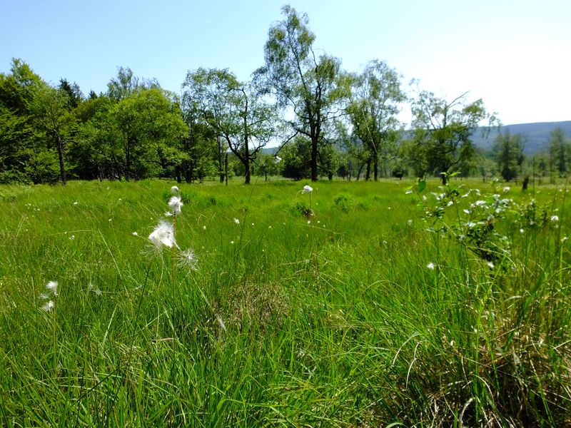 Nationalpark Radquerung 2 bfhy1q