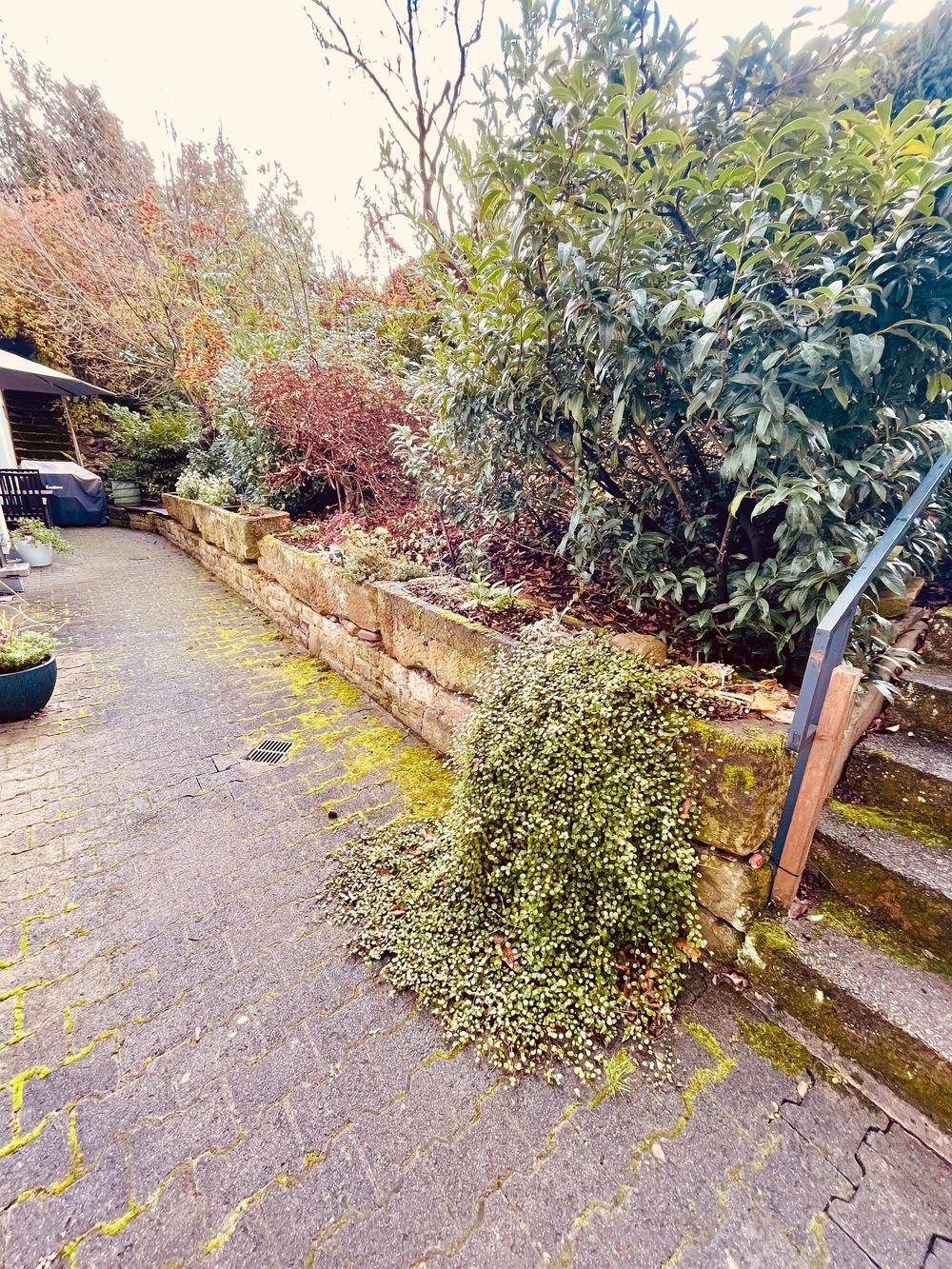 Ferienwohnung Im Weidengarten bg4s1h