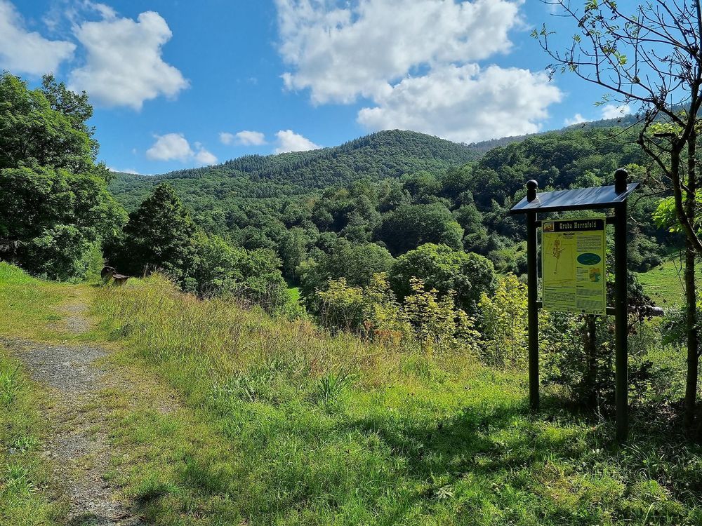 Schiefergrubenweg Lütz azjvfl