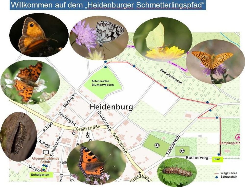 Heidenburger Schmetterlingspfad c9tdy6