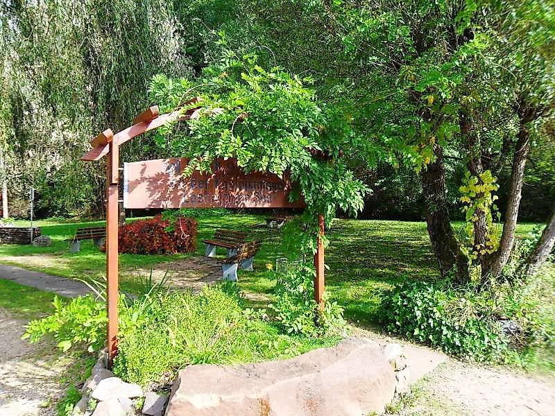 Saar Hunsrück Steig   04