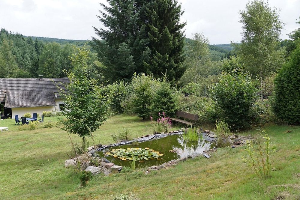 Steffi's Hochwaldidyll awhit5
