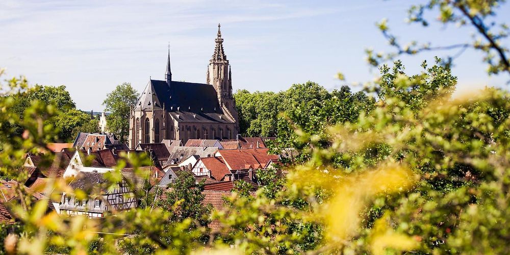 Spätgotische Schlosskirche Meisenheim c9cqyb