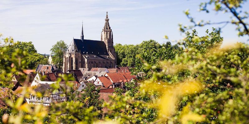 pois/late-gothic-castle-church-meisenheim-7810