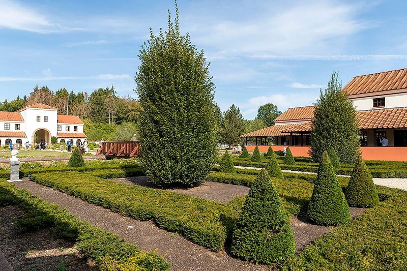 tochten/traumschleifchen-xvilla-borg-xtrail-5e41