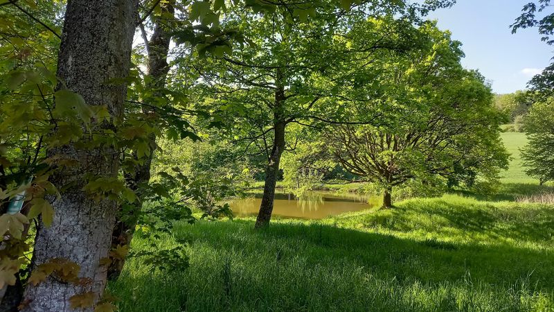 pois/ponds-at-liesenfelder-bach-2836