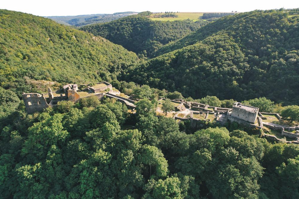 Schmidtburg c8cp8n