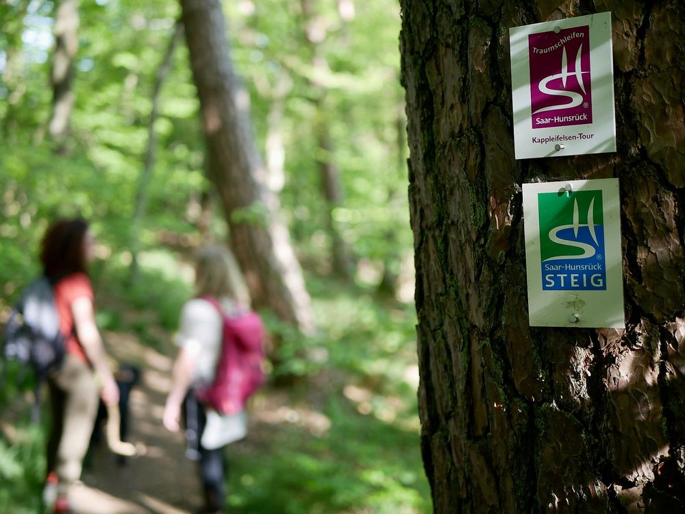 Traumschleife Kappleifelsen Tour avd3gb