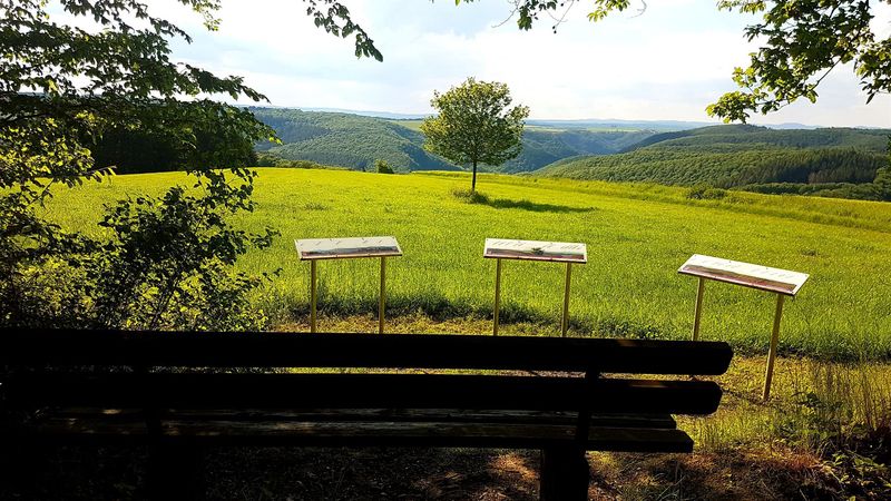 pois/eifelblick-xtraumschleife-xmurscher-eselsche-5f80