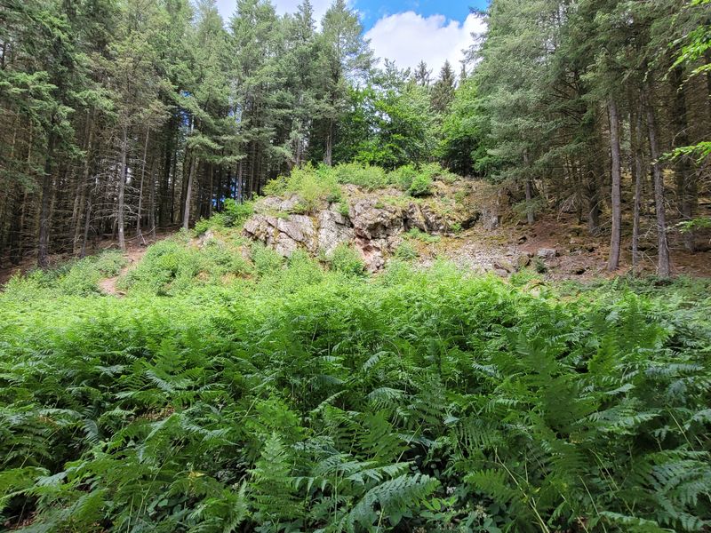 Saar Hunsrück Steig   04