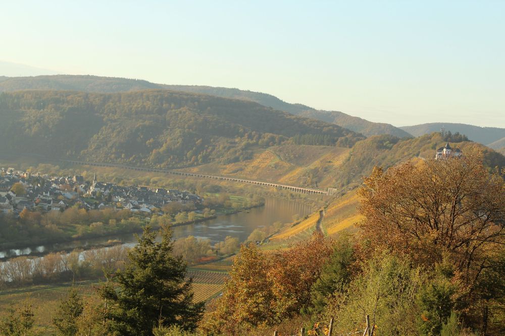 "Horgar" Pfad rund um den Zeller Hamm asqdeh