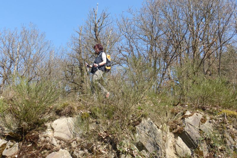 Traumschleife Dünnbach Pfad ascds5