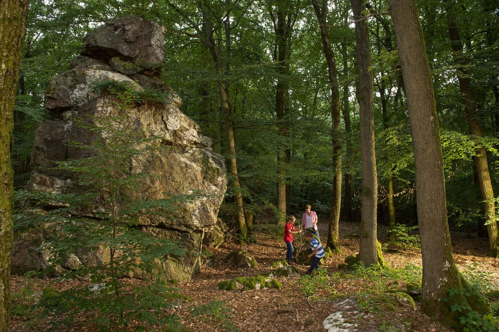 Traumschleife Ruwer Hochwald Schleife aqbxv4