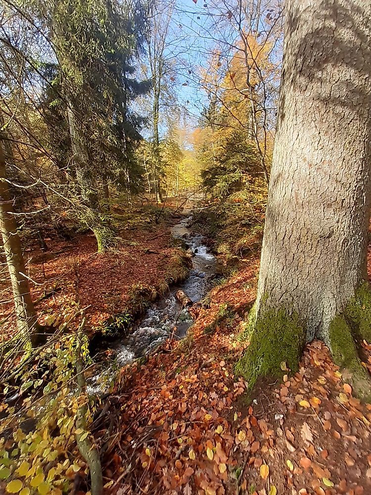 Traumschleife Wildnis Trail Weiskirchen aowqi9