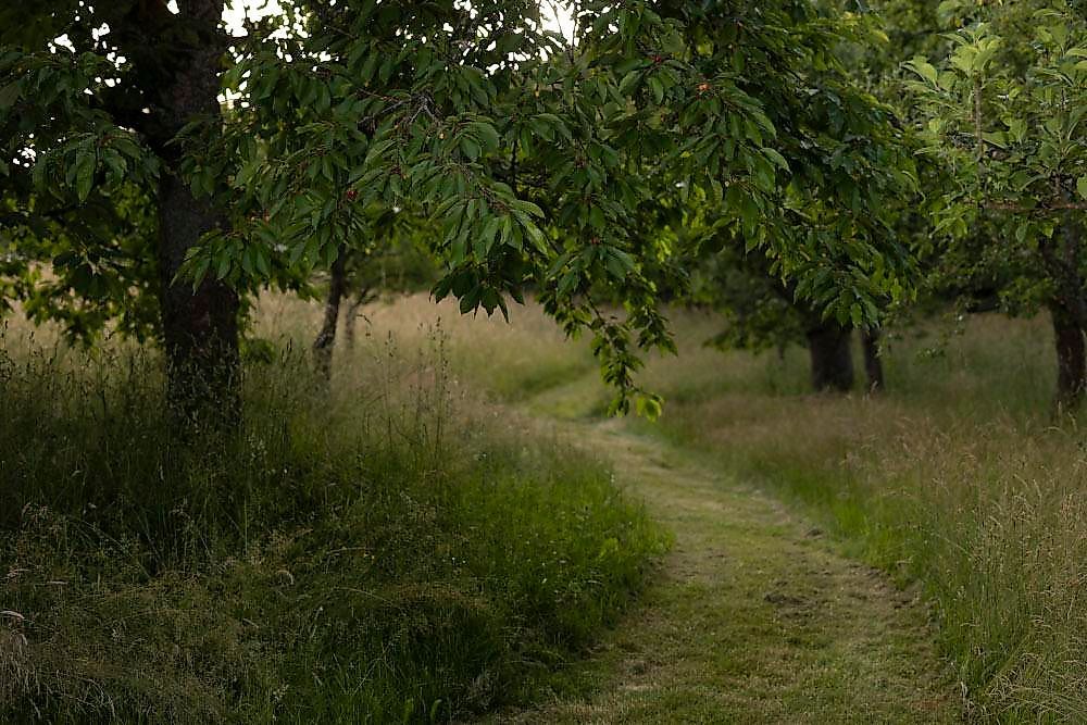 Schwollbachhof   Naturerlebnis im Hunsrück c0q0se