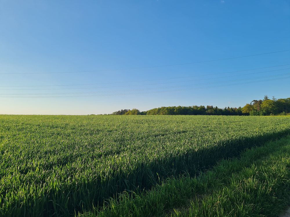 Kirchspiel Wanderweg rund um Blankenrath ap1l2u