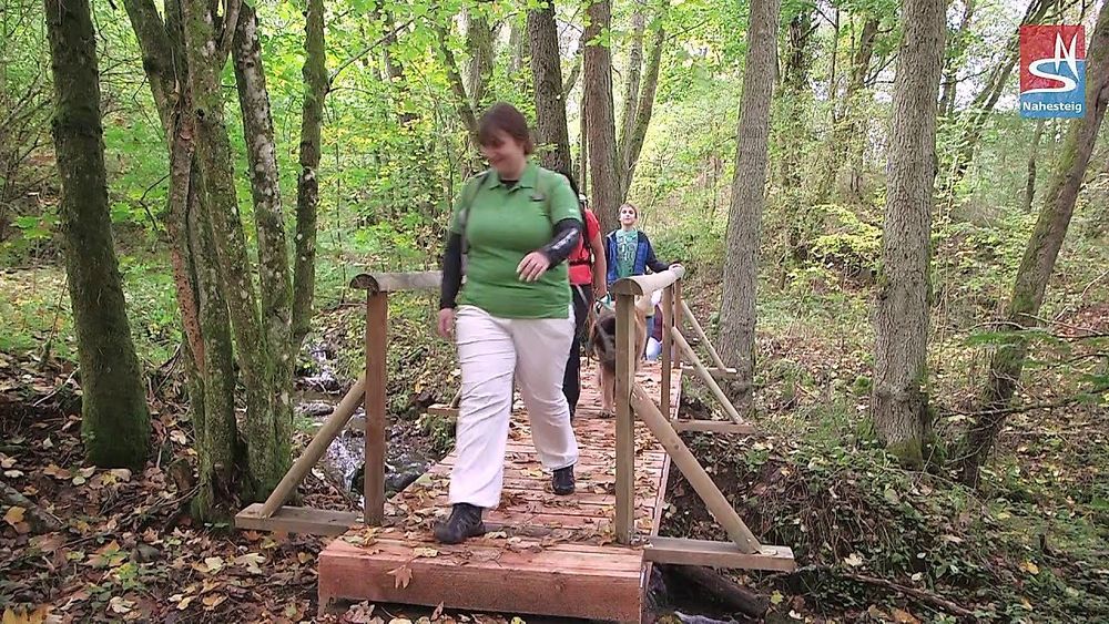 Nahesteig   Streckenwanderweg entlang der Oberen Nahe c0l3ss