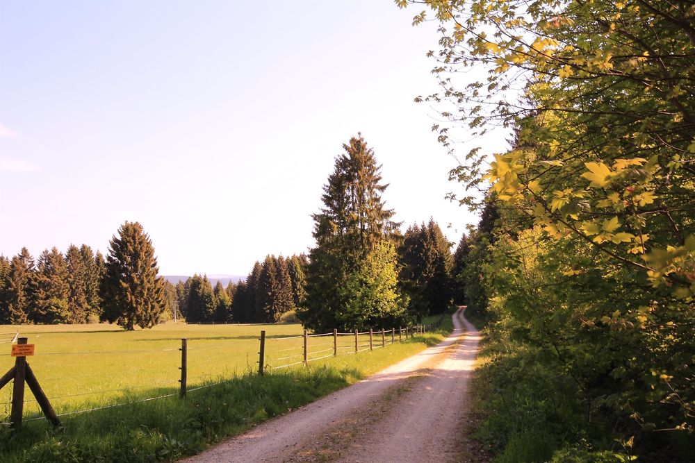 Waldgasthaus am Schwarzenbruch c04lix