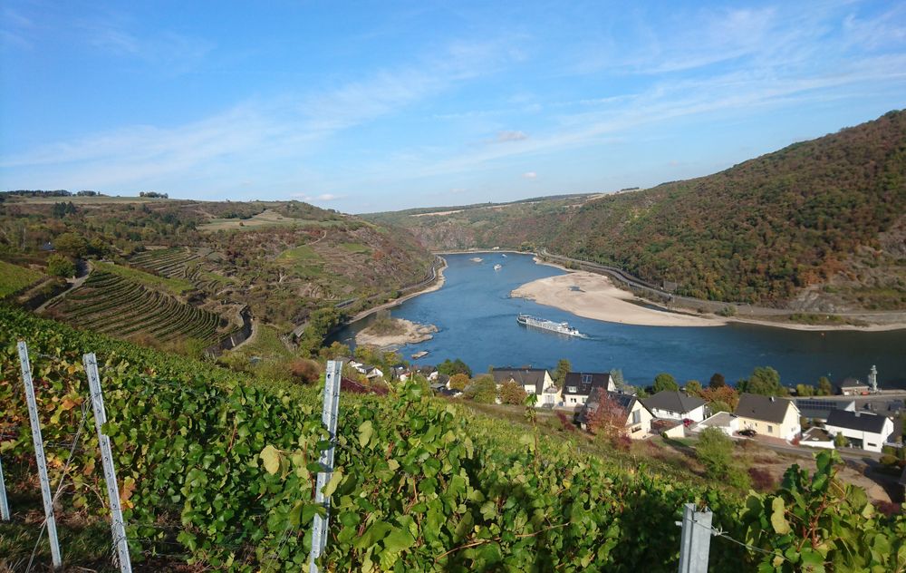 Zwischen Rheinblick und Burgstadt allhxq