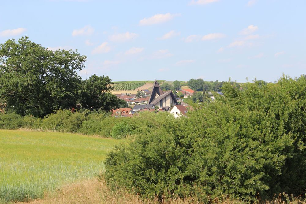 Rundtour Wißbergwanderweg in Hargesheim akt1r9
