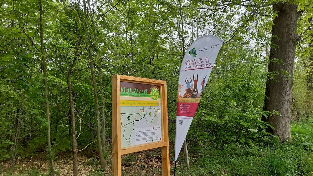 Leichte Wege / Hergester Bach am3arp