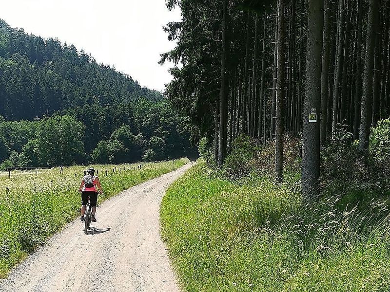 Wald  Wiesen  Wacken Radweg ajyj3u