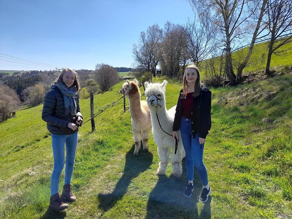 Alpaka Trekking in Kleinich ainhtq