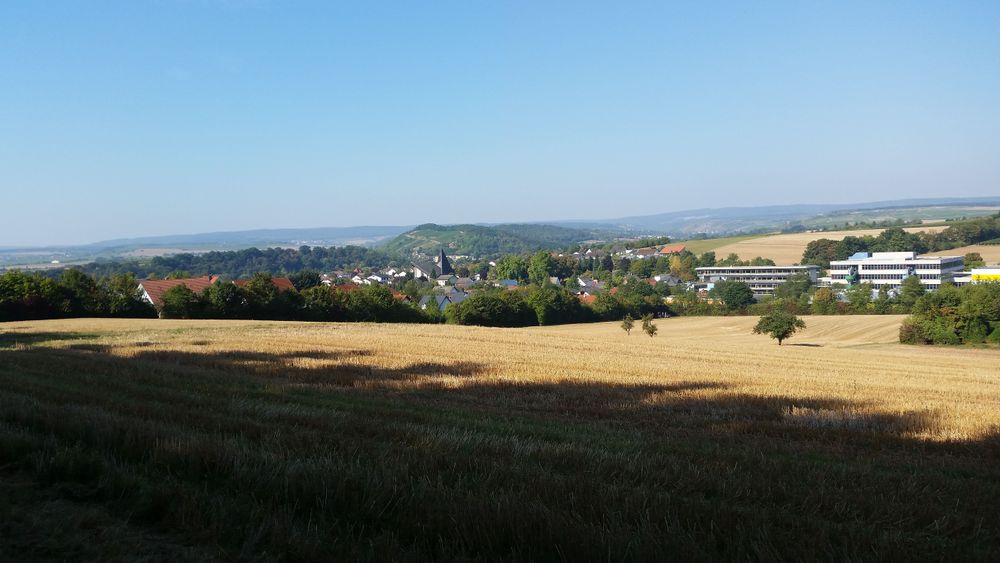 Rundtour Straußberg Wingertwanderweg in Hargesheim ai3g8l