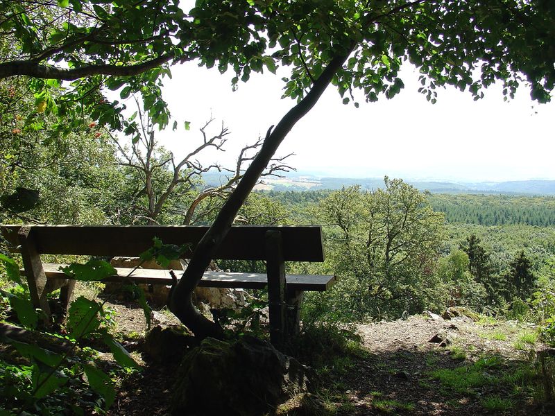 Wildkatzentour Neupfalz bei Stromberg afzodc