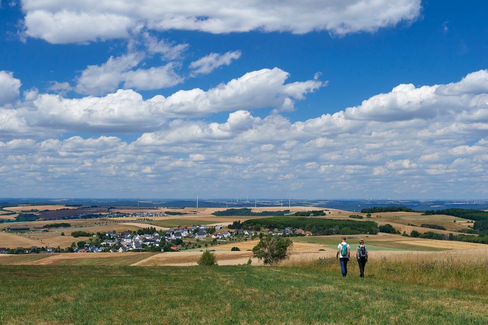 Saar Hunsrück Steig   26