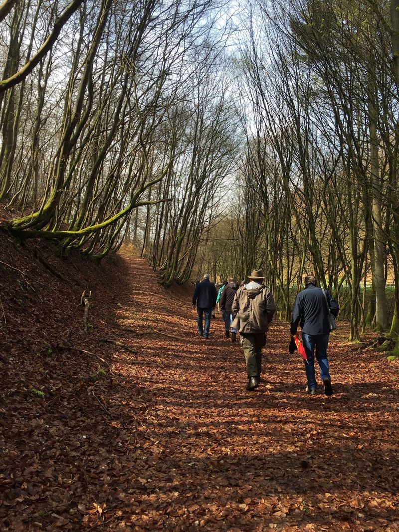 Kulinarische Wildwanderung in Baumholder abfut5