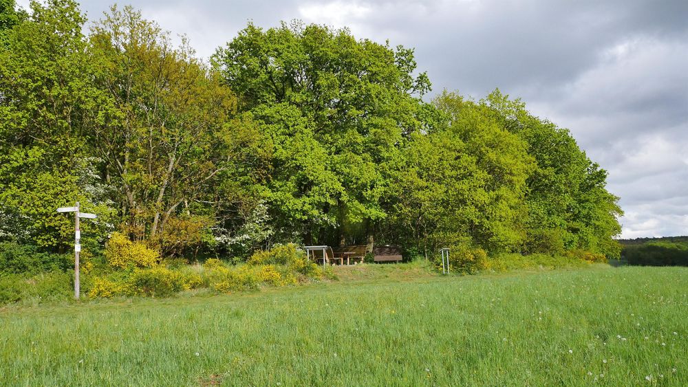 Eifelblick  Traumschleife Oberes Baybachtal ab1vnh
