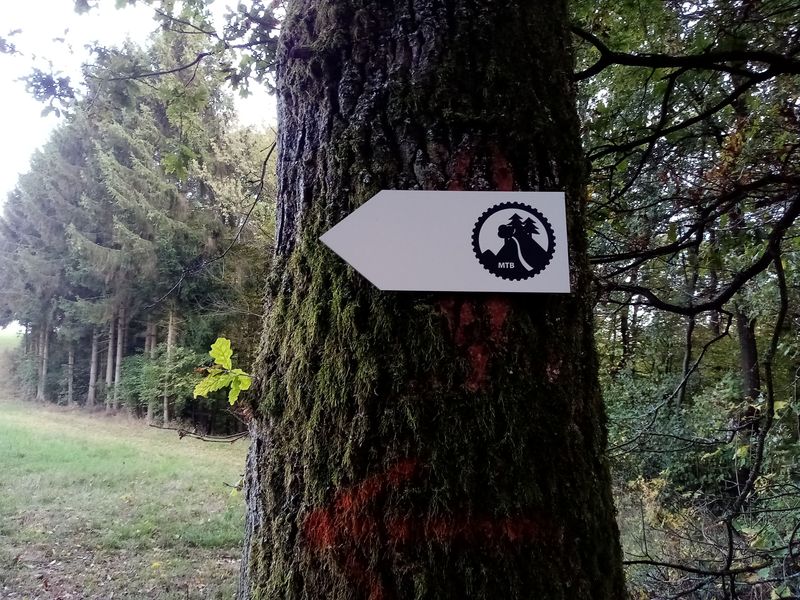 RadLust MTB Trail WaldMeister b9ub02