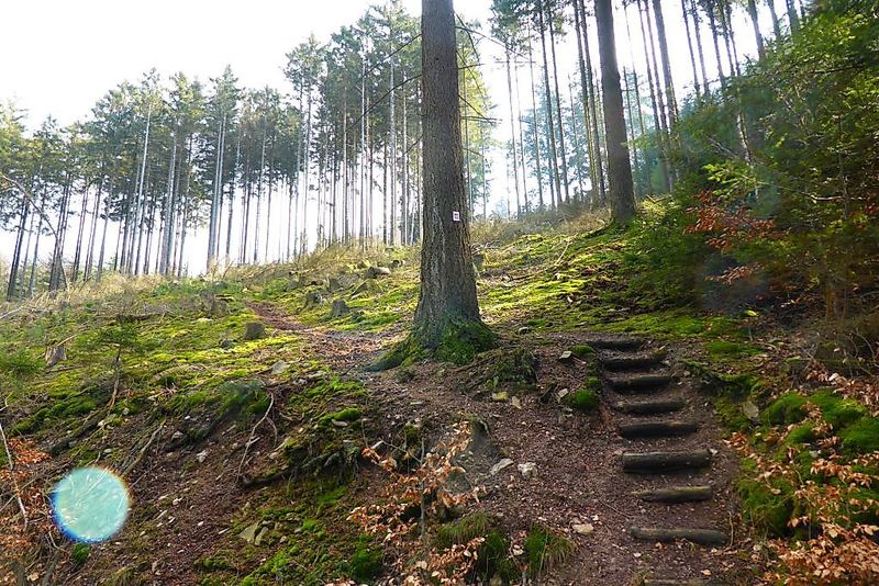 Soonwaldsteig   Zuweg Gemünden 1 b9l7cf